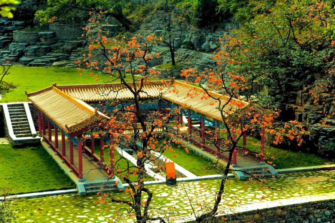 逛吃逛吃歌曲,逛吃逛吃