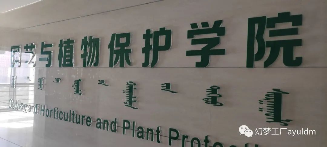 你好母校作文800字,你好母校作文