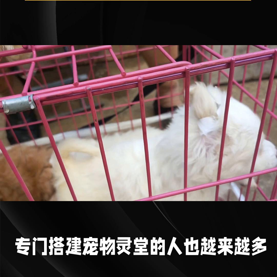 创业vlog短视频文案,创业vlog标题怎么写吸引人