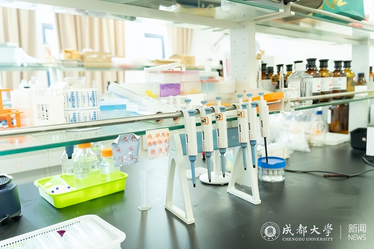 依托杂粮加工项目延长农业产业链,国家农业部杂粮加工重点实验室