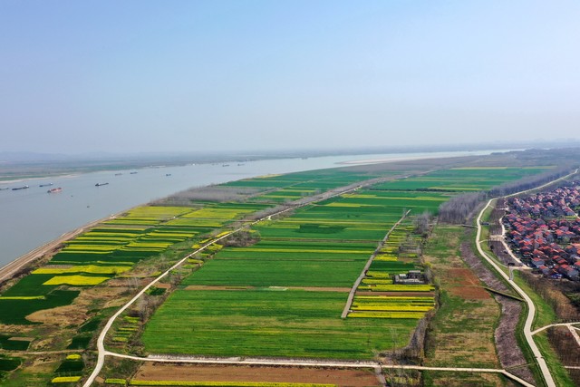 湖北各地级市的城区面积排行,湖北省行政区域划分历史明细