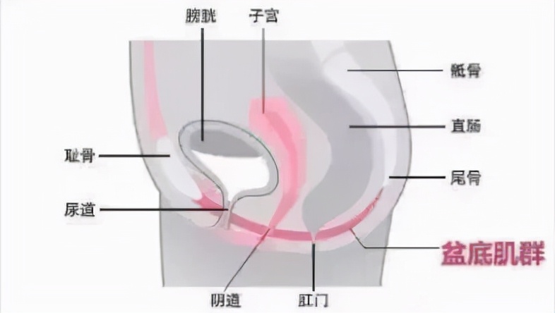 马丽生完孩子之后的状态,马丽生完孩子头发卷