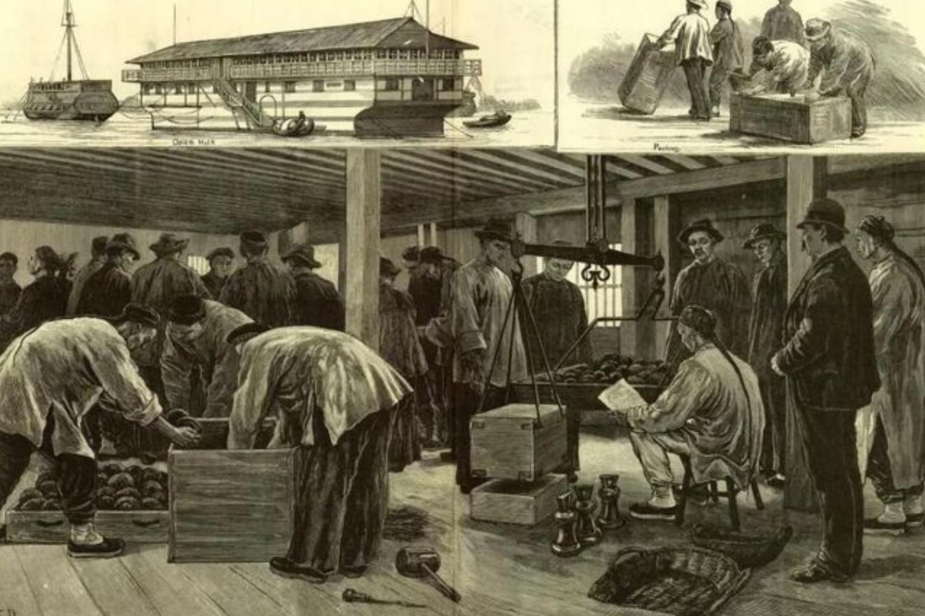 沙逊家族的产品,沙逊家族带走多少白银