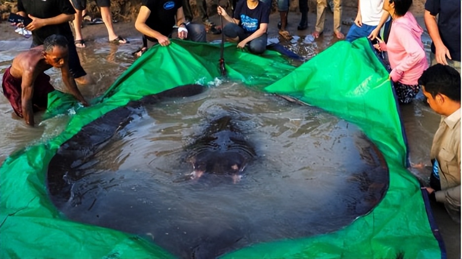 新闻早知道播报2分钟,三分钟新闻早知道政治