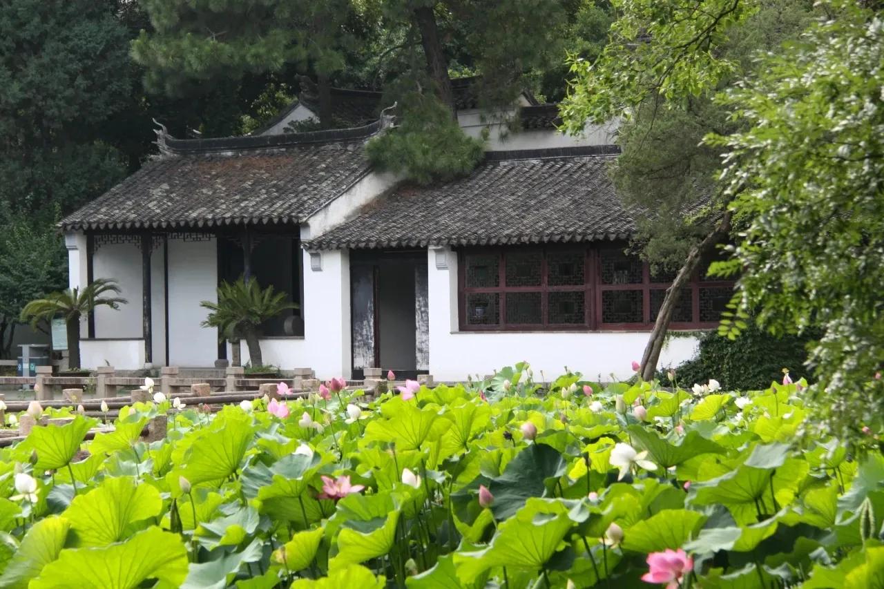 中国历史上第一*男美**，在中牟种花饮酒