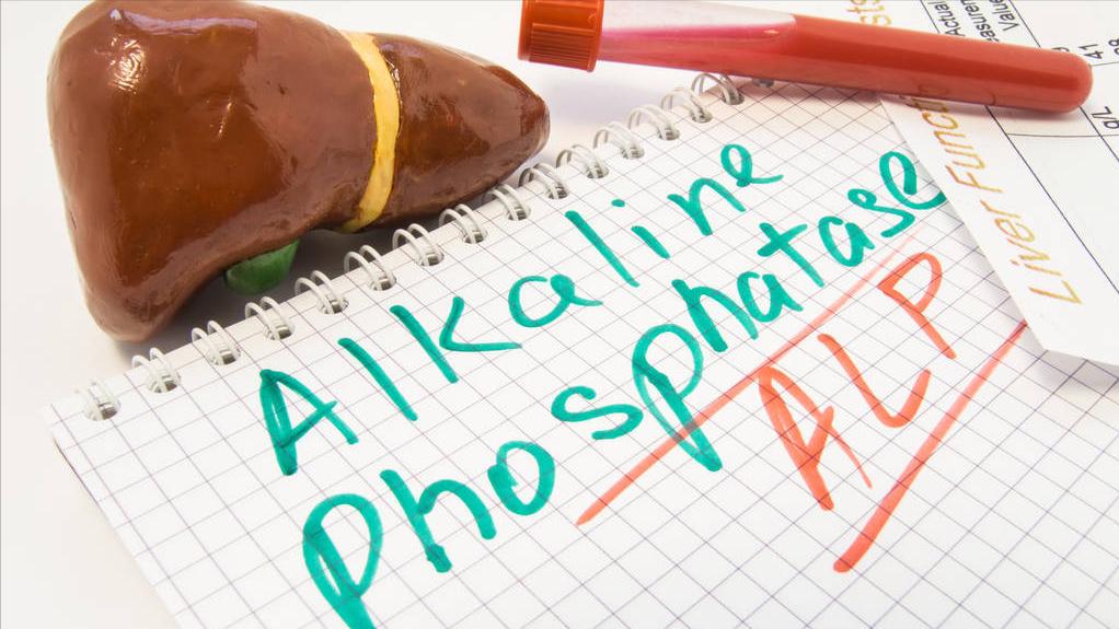 谷丙转氨酶高怎么回事是什么病,谷丙转氨酶高怎么回事严重吗