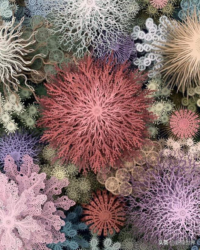 一组纸艺作品,令人惊艳的纸艺作品