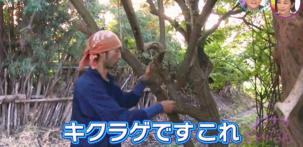 鏃ユ湰绗竴鐪侀挶,鏃ユ湰鏂按鏂數