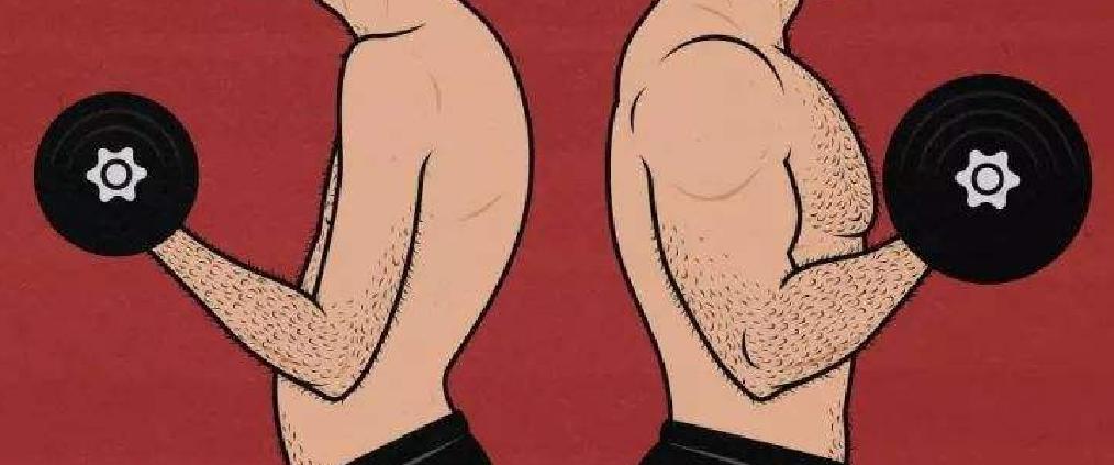 瘦弱怎么调理才能长胖,很瘦弱如何变强壮