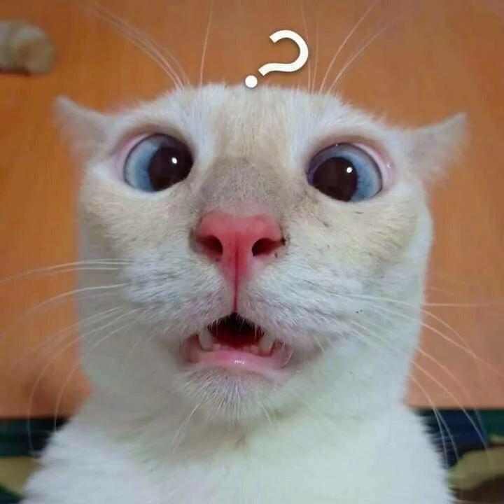 落地深圳要核酸检测吗,深圳北落地核酸检测