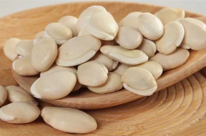 药食同源祛湿食材,健脾效果好的药食同源食材