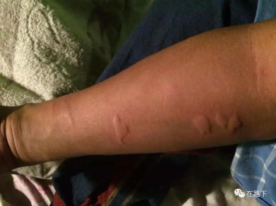 从6岁到20岁环游世界,6万元100天环游世界