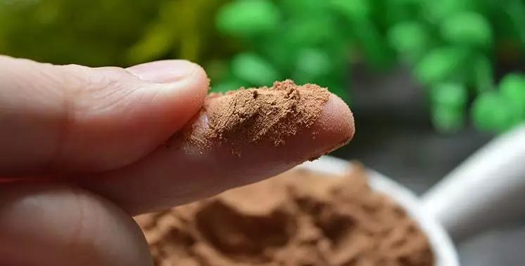 洗头不再用洗发水？用它轻松改善头皮屑，还不掉发！（湘村里）