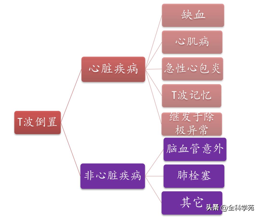 t波倒置三种常见原因,t波低平倒置有事吗