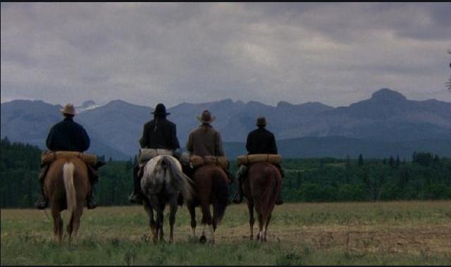 美国牛仔深度解析,美国牛仔的简述