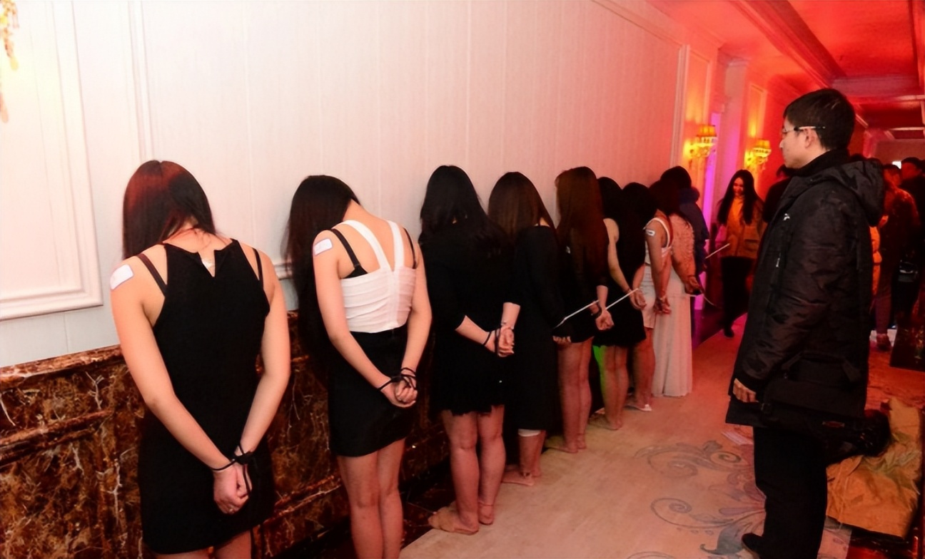 河南郑州皇家一号事件,郑州皇家一号覆灭史