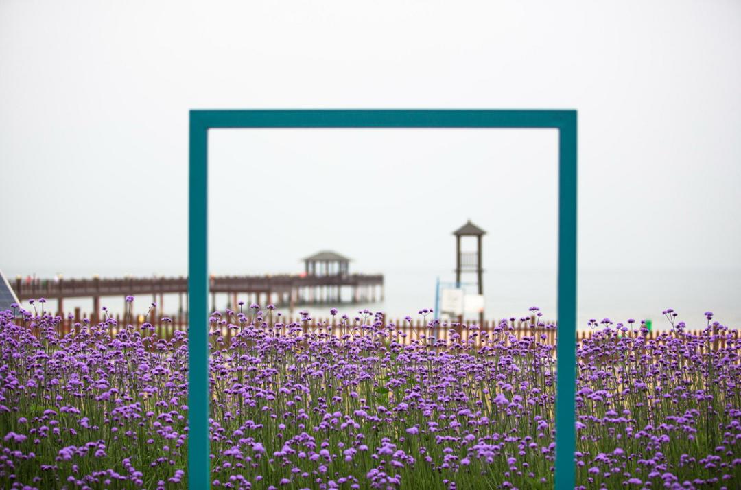 河北旅游今年要火，上半年凭冬奥出圈，下半年火过三亚