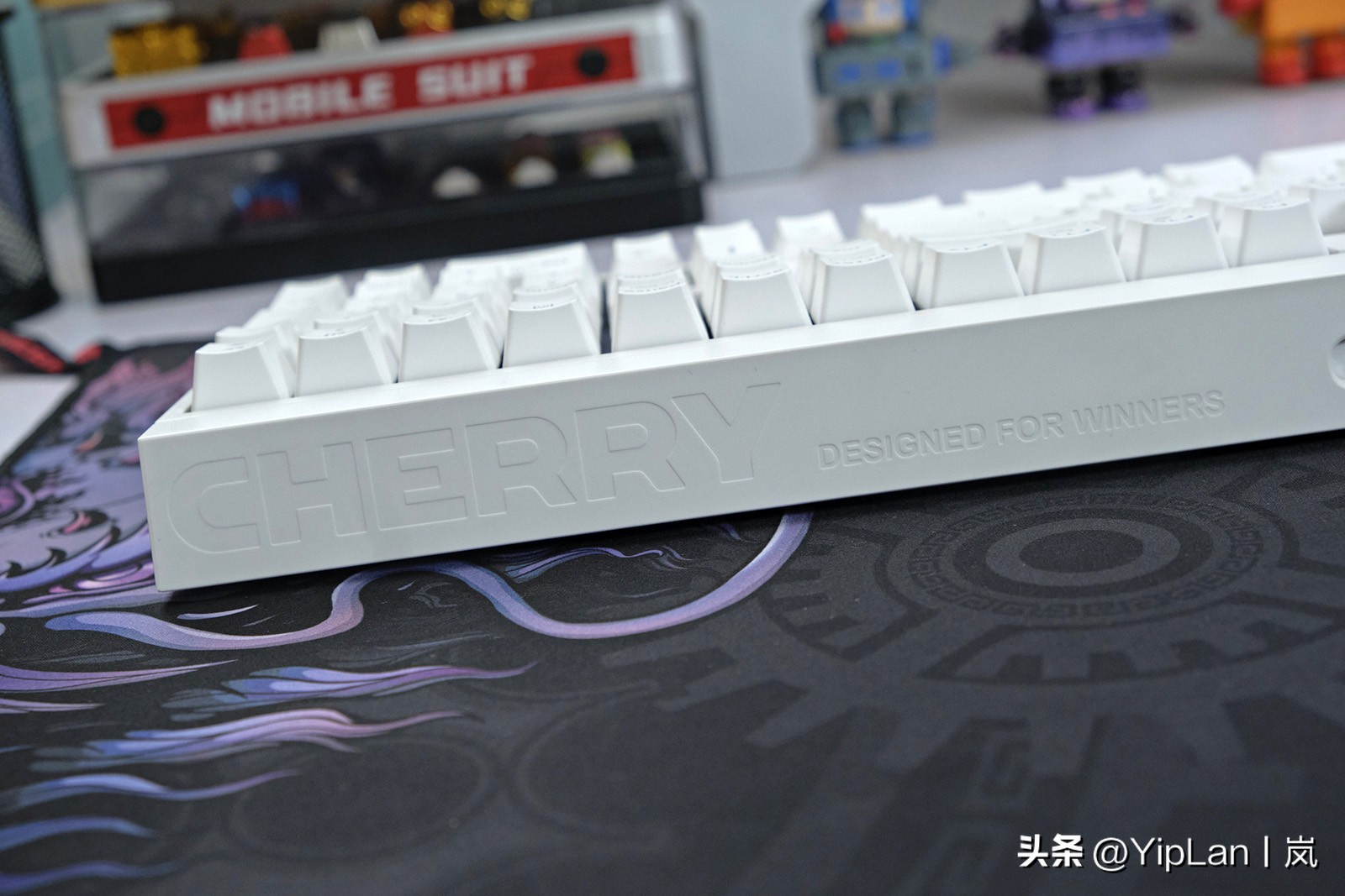 cherry澶栬鎺ㄨ崘,cherry澶栬鍜嬫牱