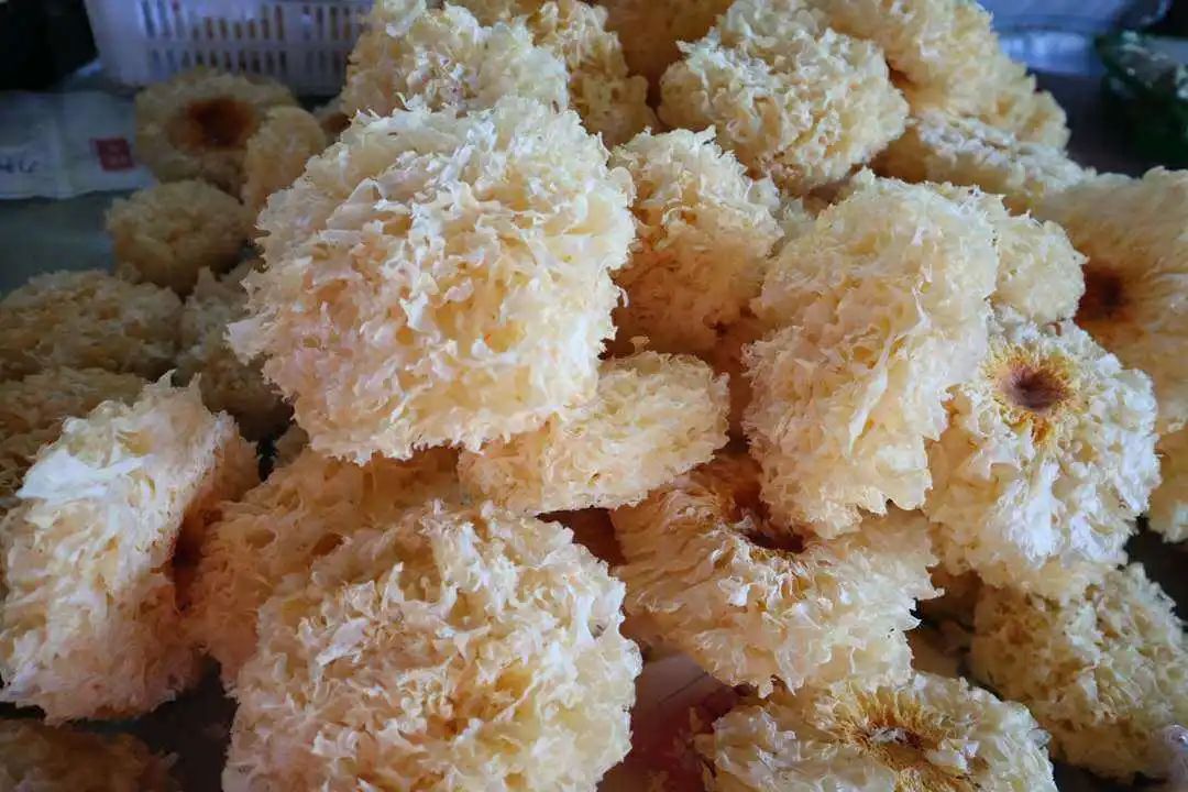 浙江人常吃的蔬菜有哪些,幼儿园常吃的蔬菜有哪些