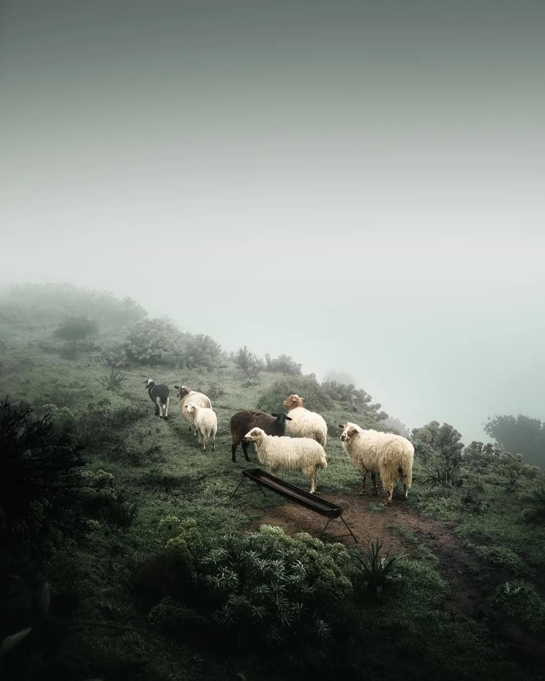 40张国际摄影奖顶尖作品震撼人心,世界摄影获奖人物震撼图