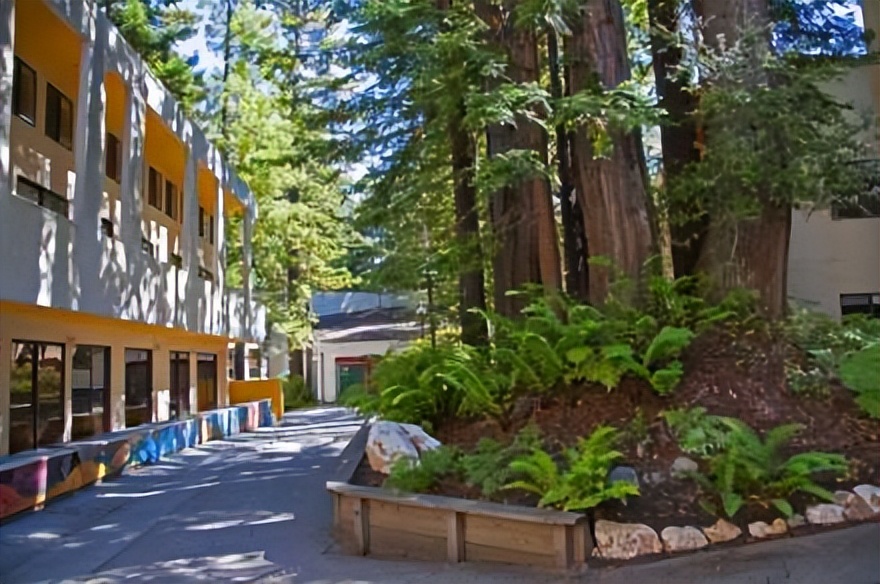 ucsantacruz,世界上漂亮的大学开普敦大学