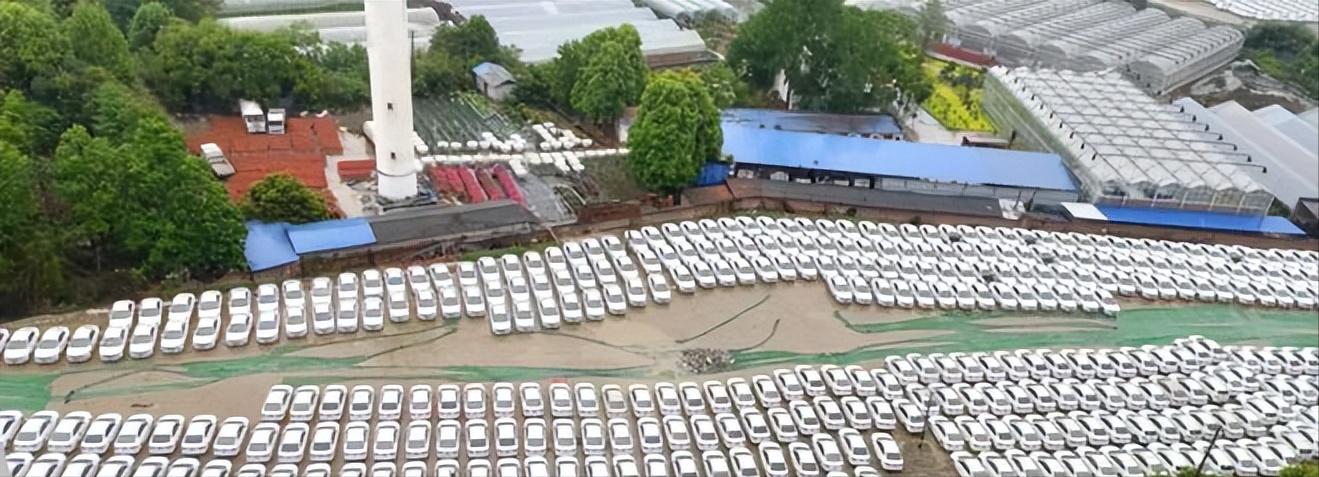 汽车租赁公司前景何去何从,汽车租赁公司亏损严重最后怎么办