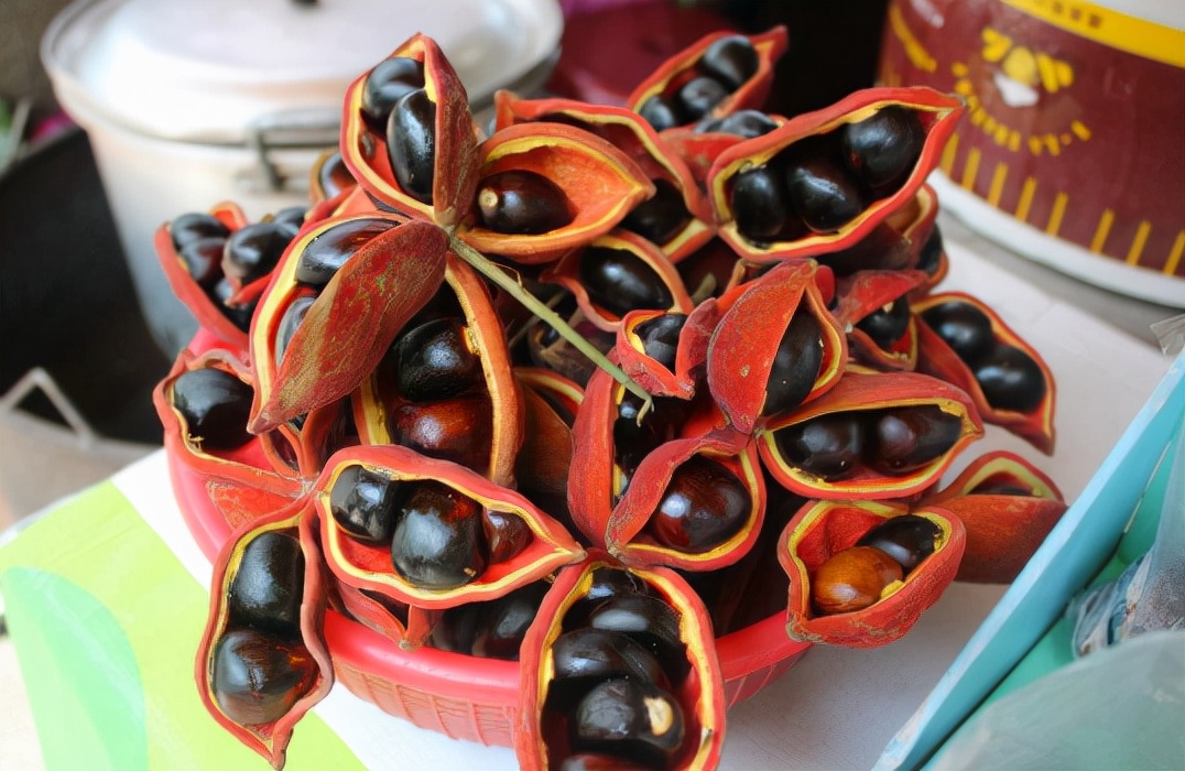 农村那些你吃过却叫不上名的野果,南方小时候路边的野果有哪些