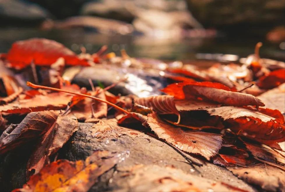 夜读人生成功时低调失败后洒脱,夜读人生多磨难学会为自己鼓掌
