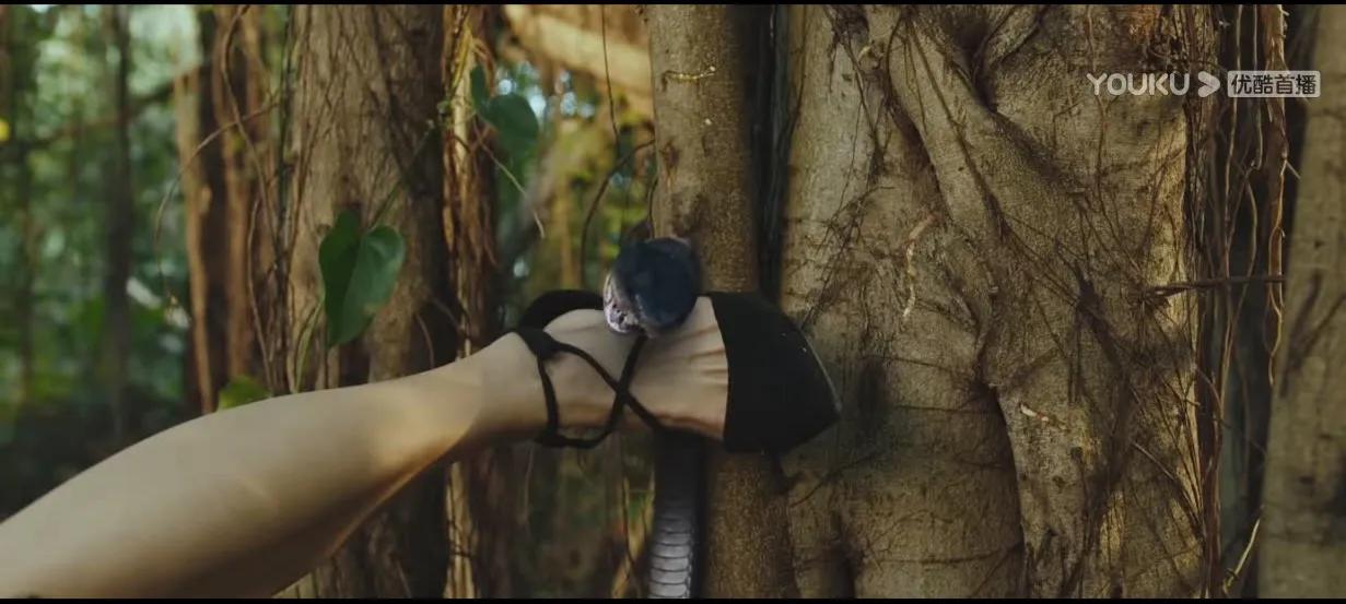 娣辨捣铔囩敺绮惧僵鐗囨,娣辨捣铔囬毦鍦ㄧ嚎瑙傜湅