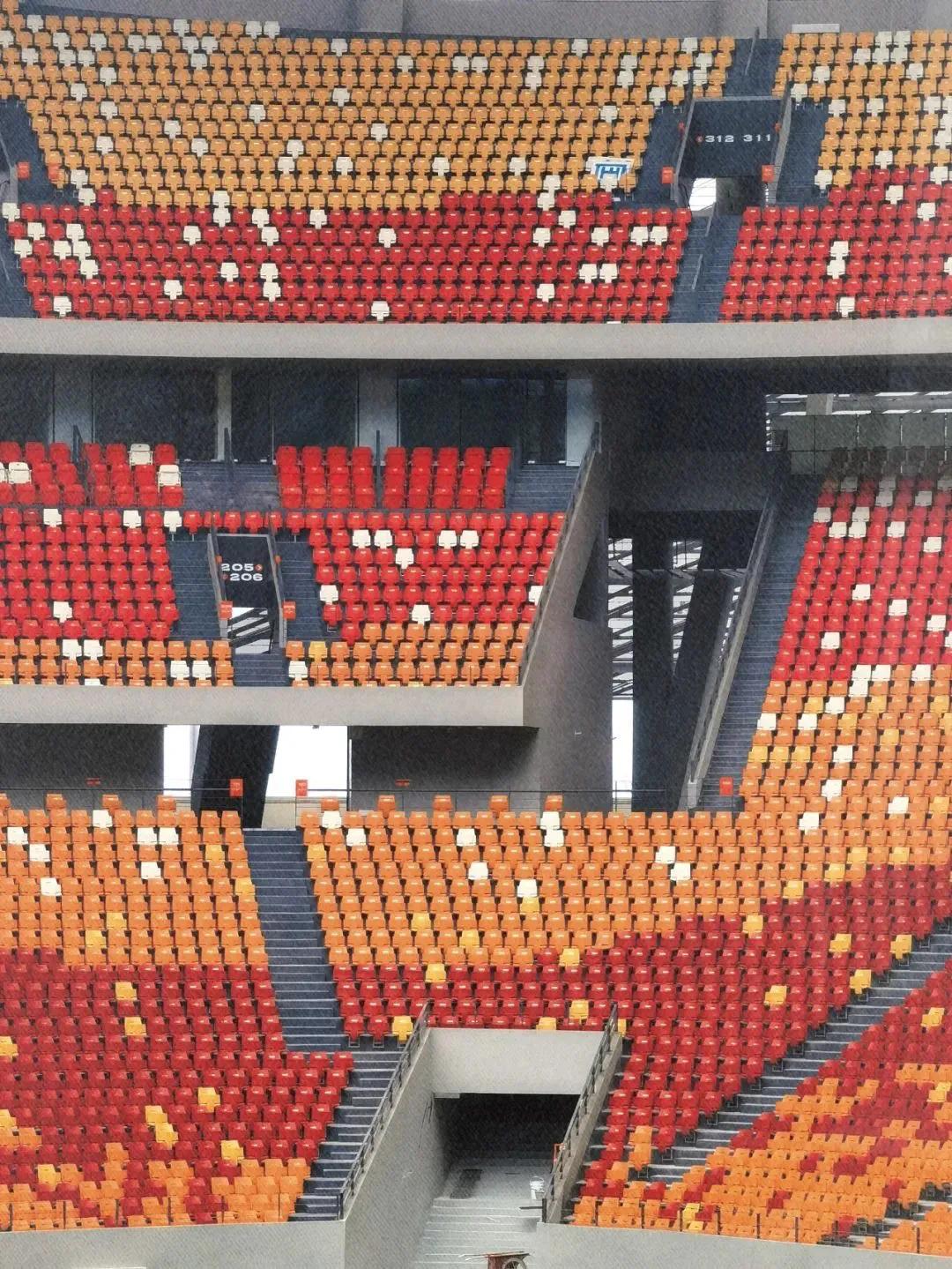 重庆最大足球场是哪一个,重庆最顶级足球场