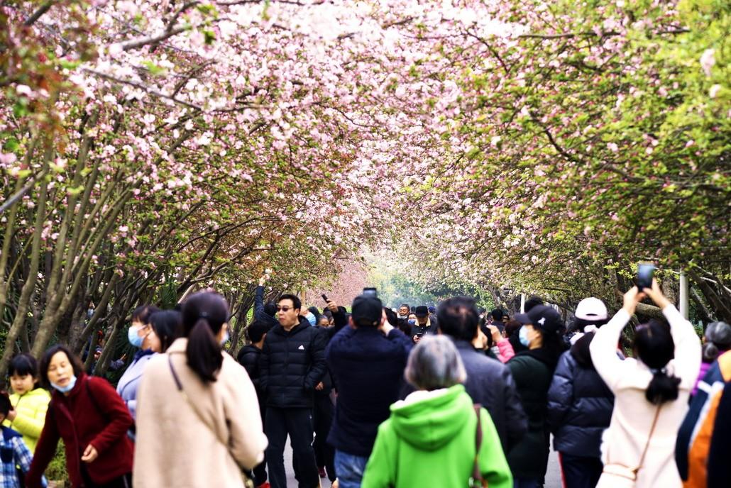 郑州经开区赏花胜地,三月郑州附近有什么赏花的