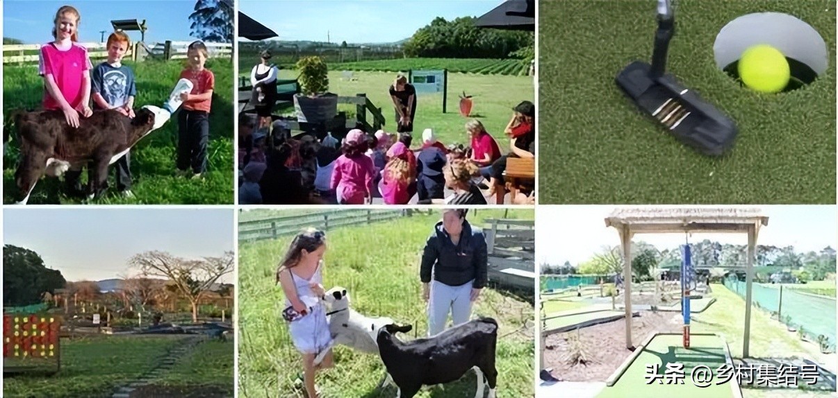 新西兰奇异果小镇蒂普基,奇异果之都蒂普基地形图