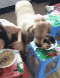 怎么说才能让领导知道茶叶很贵 (怎么高情商告诉领导买的茶叶贵)