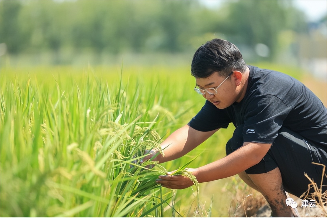 观稻景、吃蟹面、钓螃蟹……这里的“中秋”,好吃好看好玩