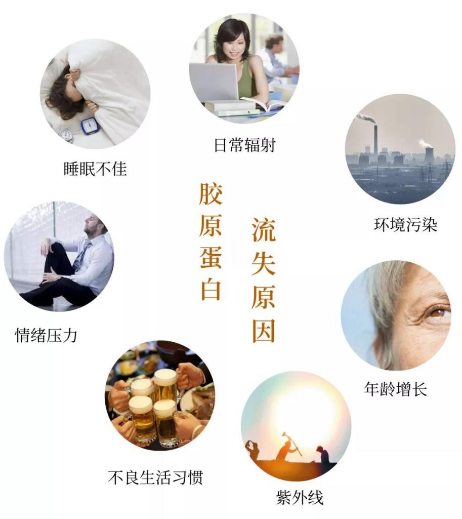 口服玻尿酸胶原蛋白真的有用吗,口服胶原蛋白有用吗央视新闻