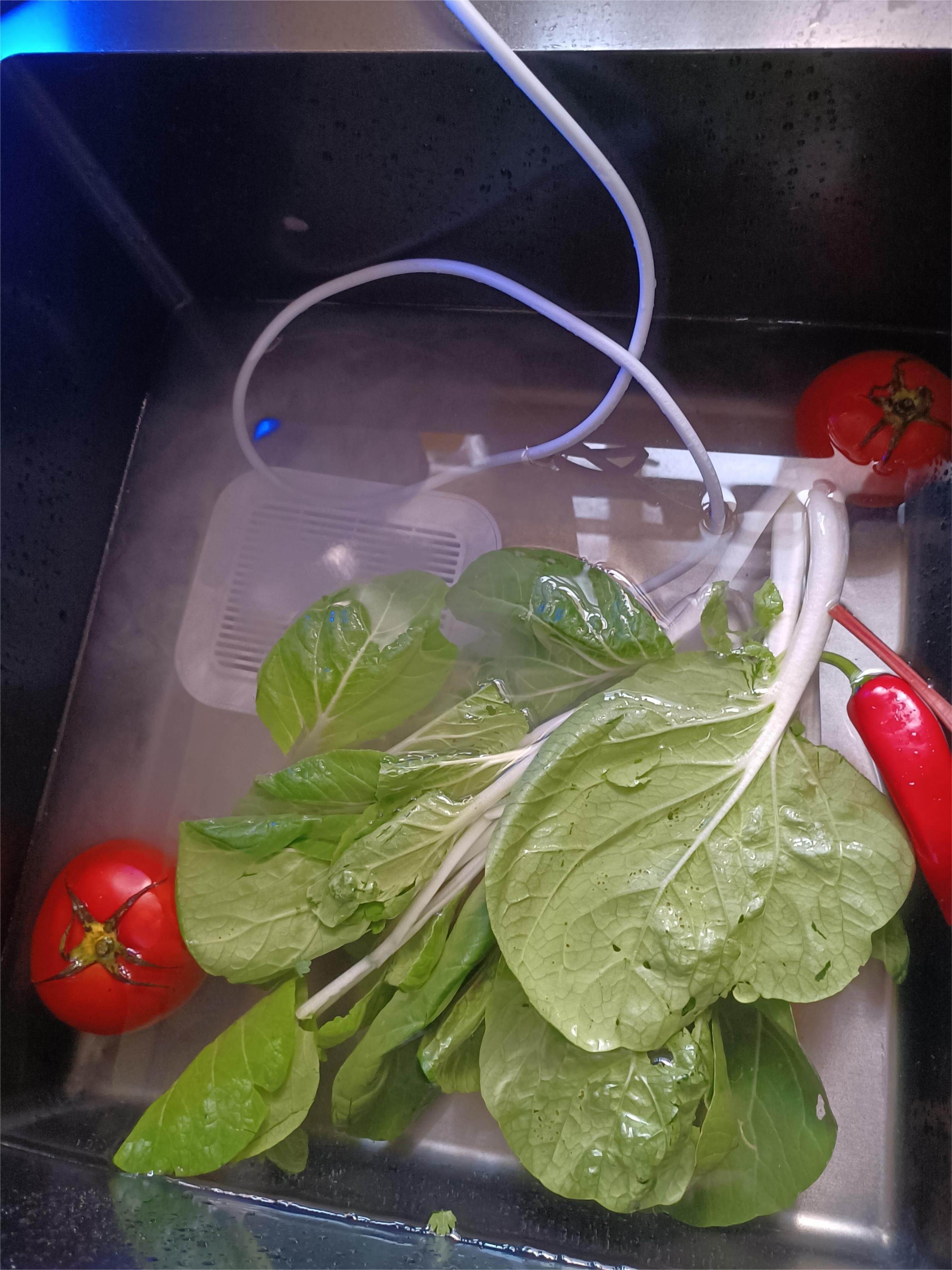 果蔬清洗机哪个牌子的好,果蔬清洗机哪个牌子最靠谱