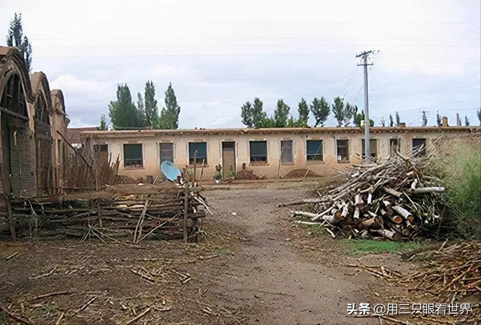 知青青年悲惨经历,知青的生活留下点点滴滴美好回忆