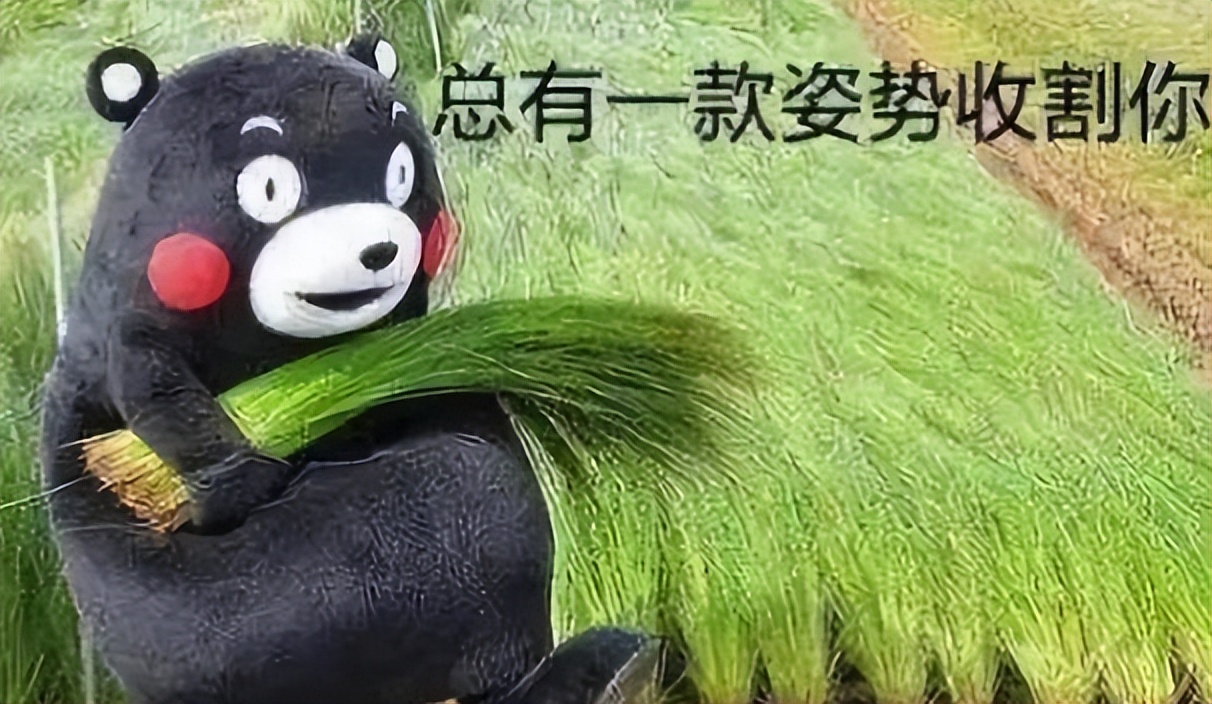 上海一骑手6桶泡面20个鸡蛋,上海一骑手代购