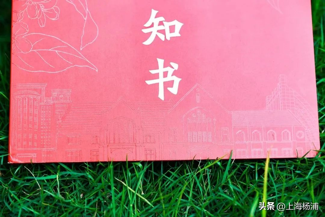 藏起来的录取通知书,录取通知书纸雕合集