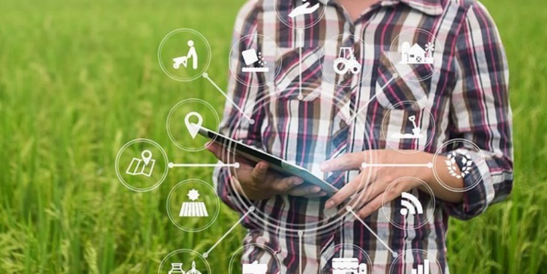 数字农业智慧农业场景,数字农业智慧化