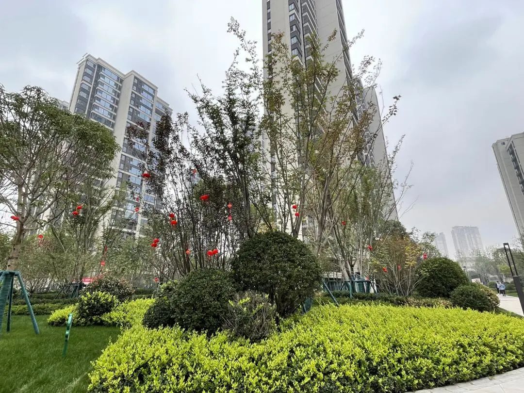 深度评房万科澜岸,万科澜岸交付质量