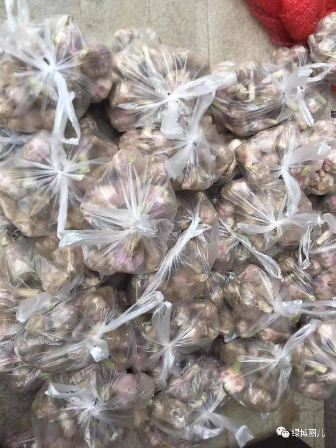 郑州一路向东，物业服务哪家强？