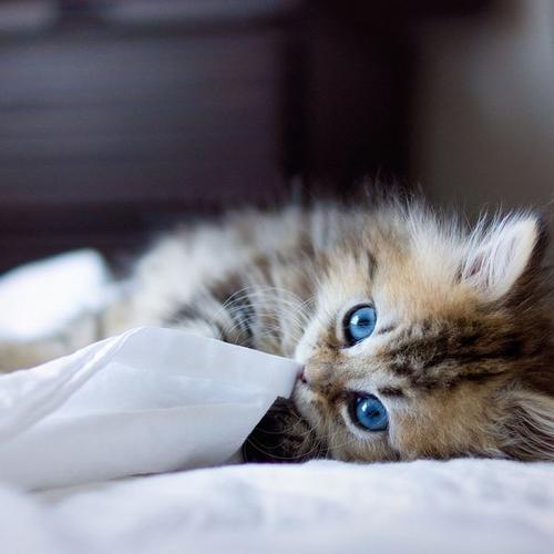 小学生考试幽默笑话短句,小明课堂幽默笑话十则