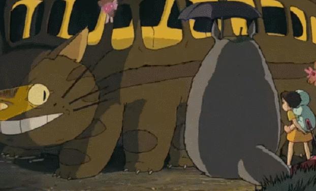 宫崎骏龙猫原型是什么动物,宫崎骏龙猫原型什么颜色