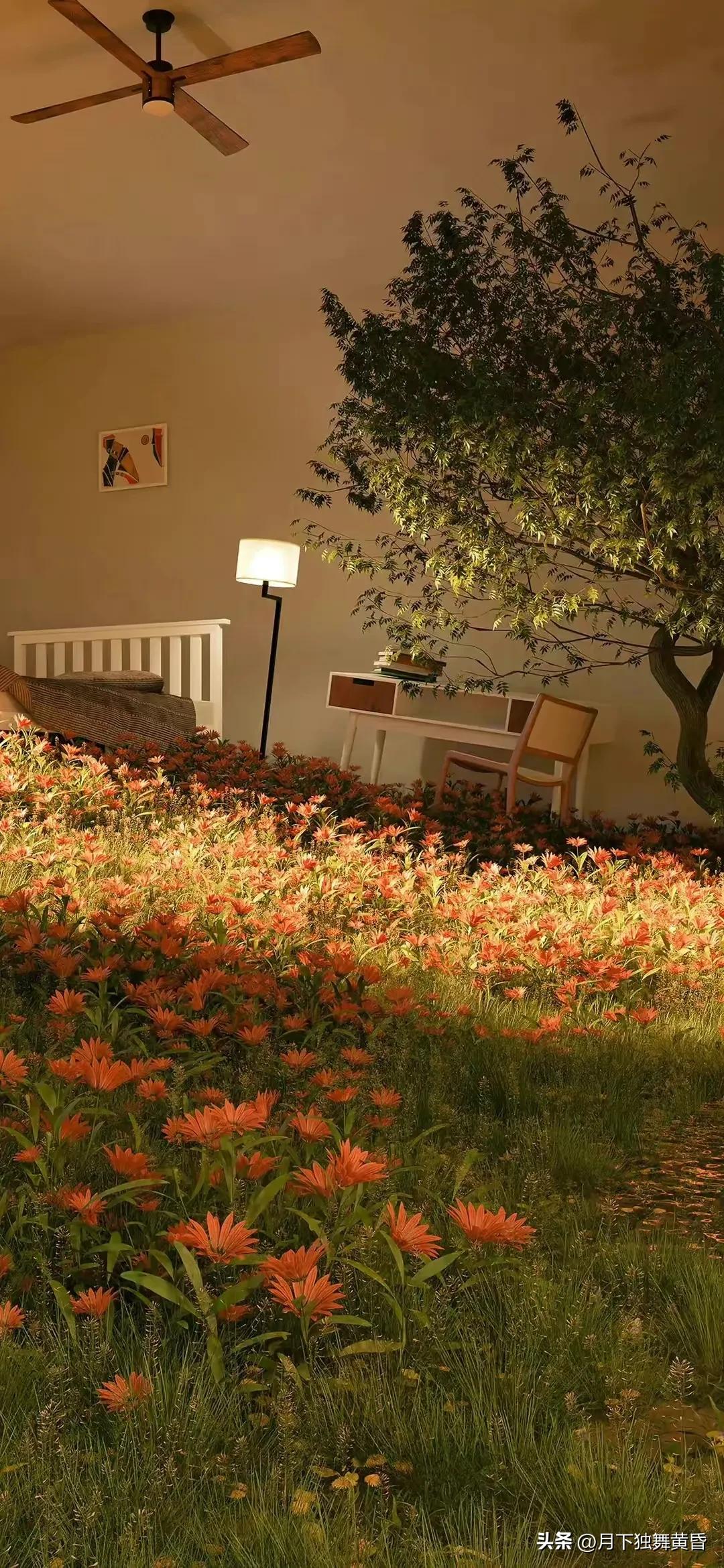 夏天壁纸图高清,壁纸夏天的太阳