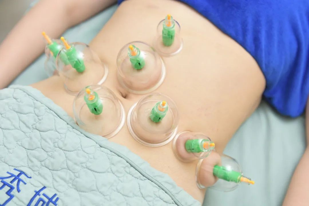 怎么减肥越减反而越胖,减肥背后真相大揭秘动画