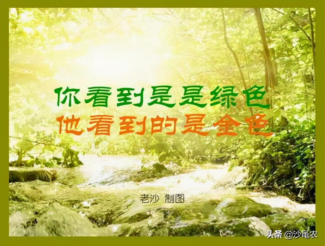 股市早8点报怎么回事,为什么股市涨不到3500点