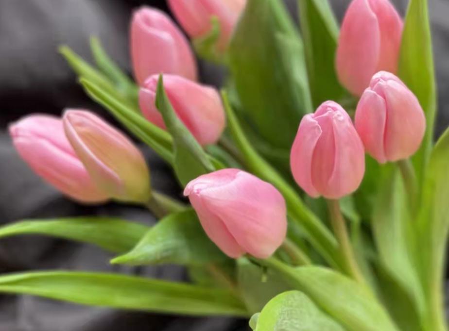 情人节收到的鲜花如何养护,女神节送什么花最好最合适