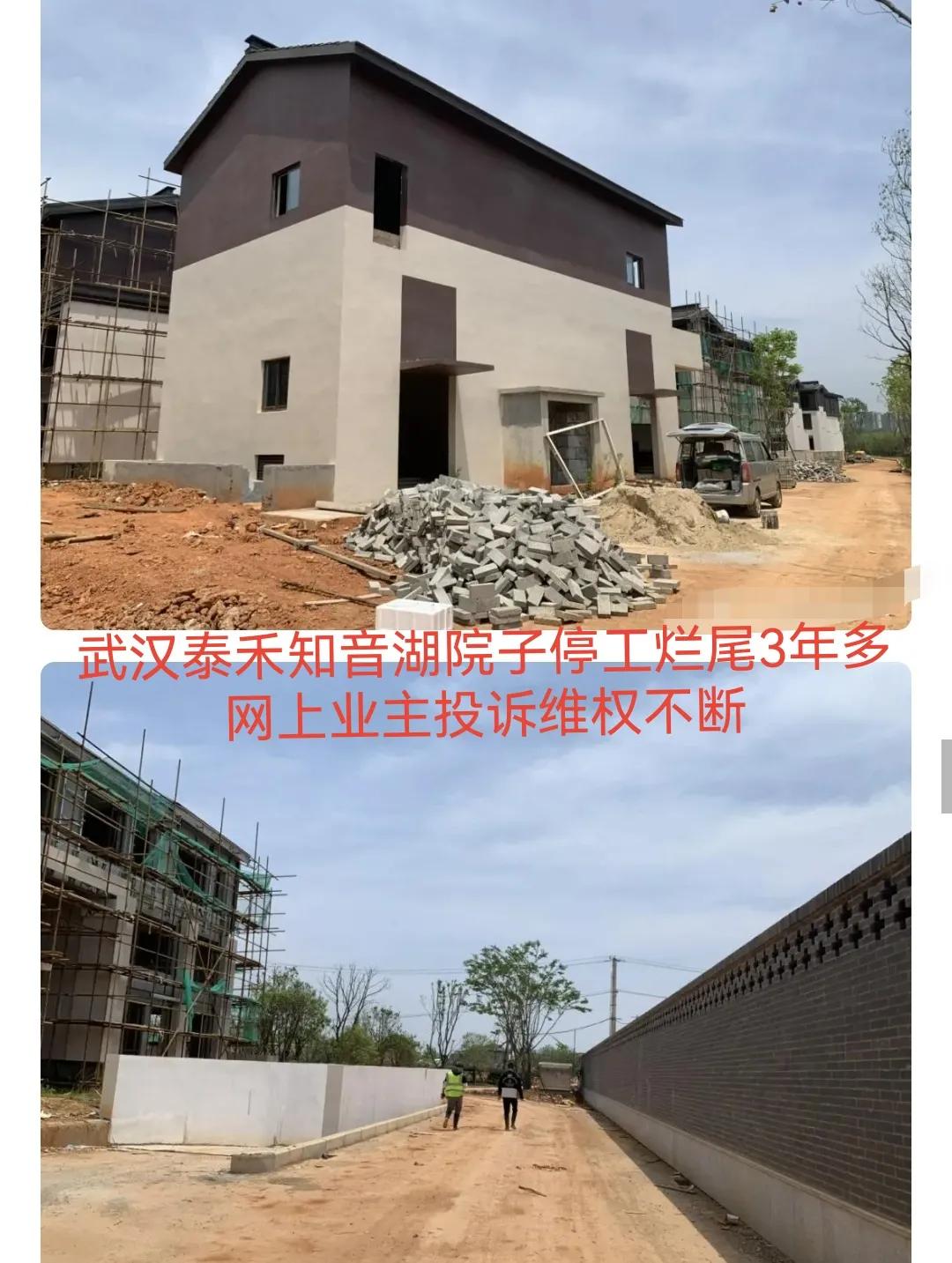 泰禾集团危机分析,泰禾集团走出困境