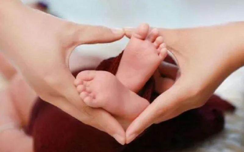 专家预测的中国人口变化,中国人口变化预测